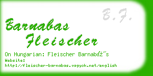 barnabas fleischer business card